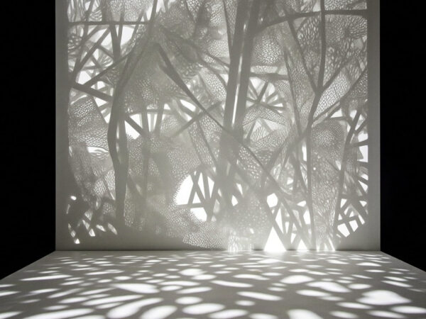 Between Light and Shadow: Laser Cut Art Collection
