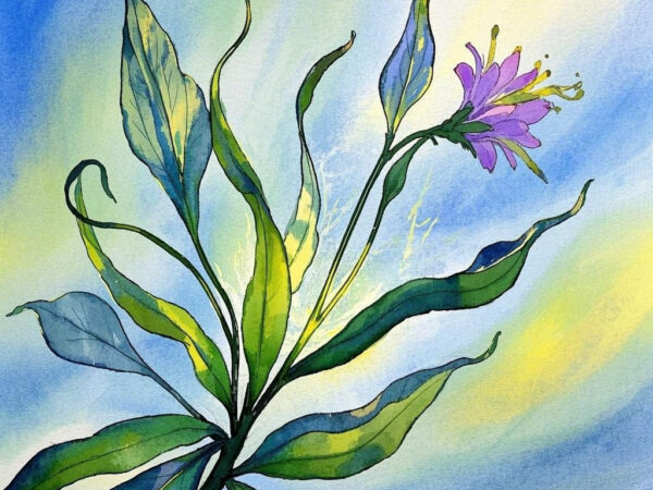 Secret Plants: Watercolor Botanical Illustrations