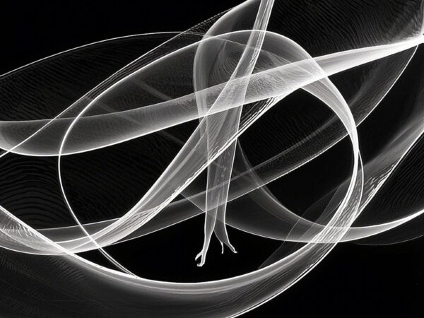 Lines of Life: A Minimalist Printmaking Series