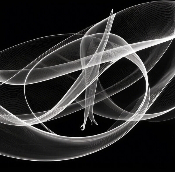 Lines of Life: A Minimalist Printmaking Series