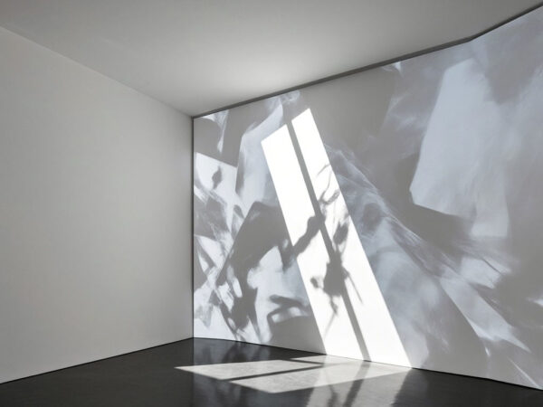 Realm of Backlight Light and Shadow Installation Art