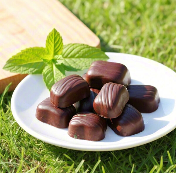 Homemade Mint Chocolate — The Perfect Fusion of Freshness and Richness