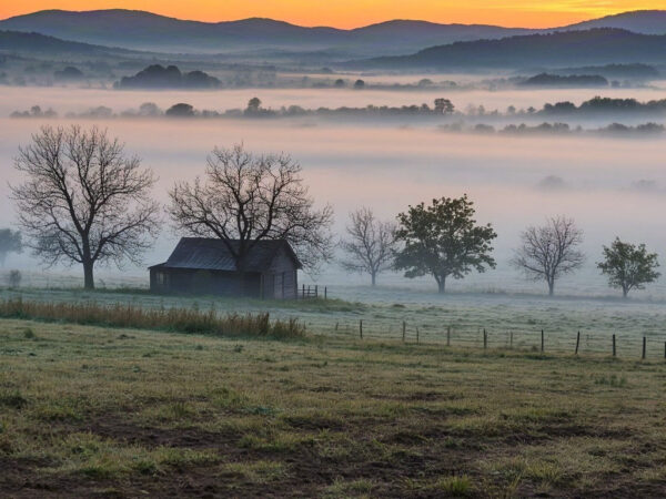 Misty Mornings: Fog and Tranquil Villages at Dawn