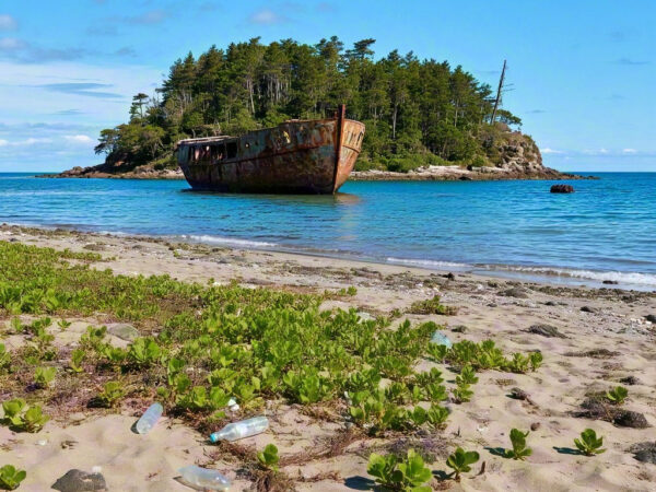 Isle Relics: Nature and Waste on Uninhabited Islands