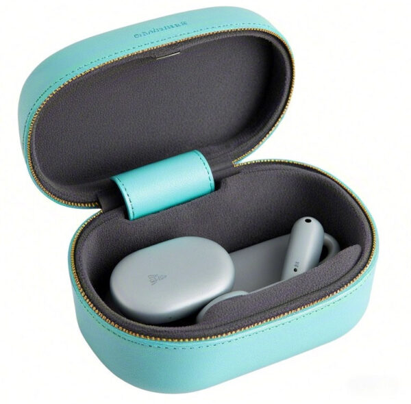 Custom Earphone Case "Melodic Guardian" – Protecting Your Journey of Sound