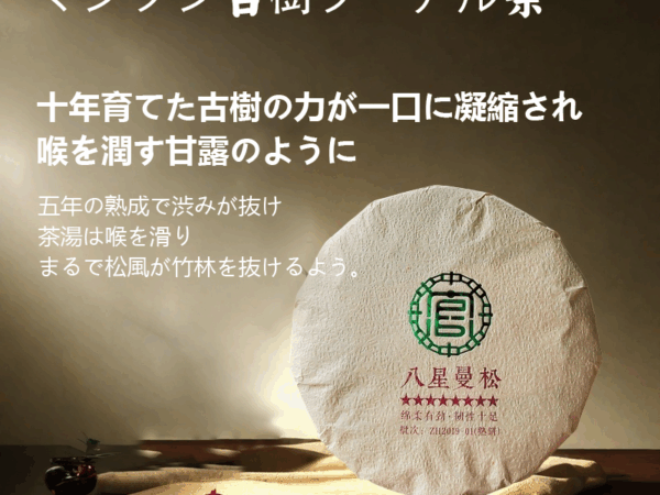 千年の茶の香りを味わう · 茶餅の雅 ---歴史と文化を継承し、自然の恵みを凝縮し、雅な暮らしのひとときを楽しむ。