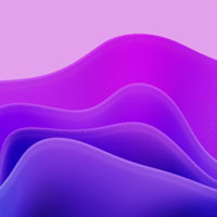 创建者