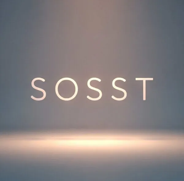 SOSST 項目創建與發布流程及要求